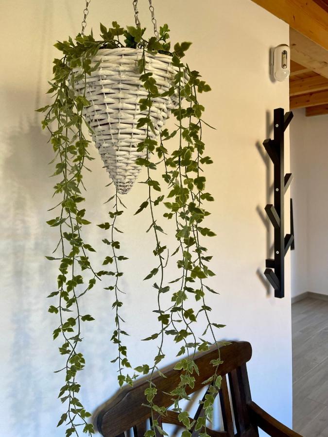 La Casita De La Era Apartment เบตันกูริอา ภายนอก รูปภาพ
